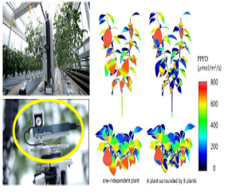 지능형 스마트팜 연구