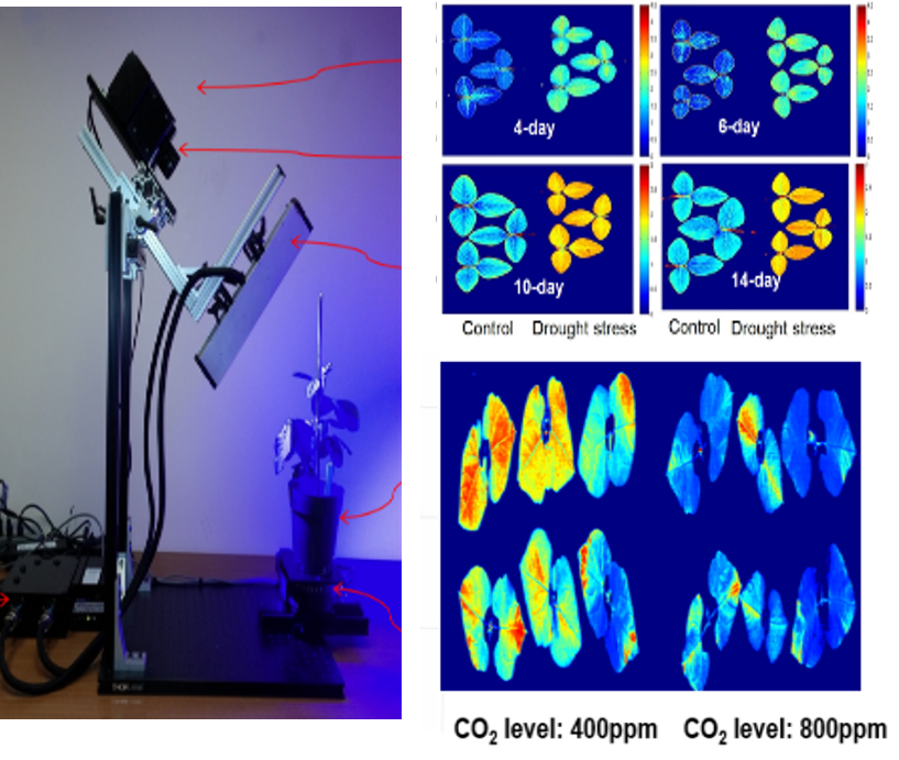 스마트 육종 기술 연구