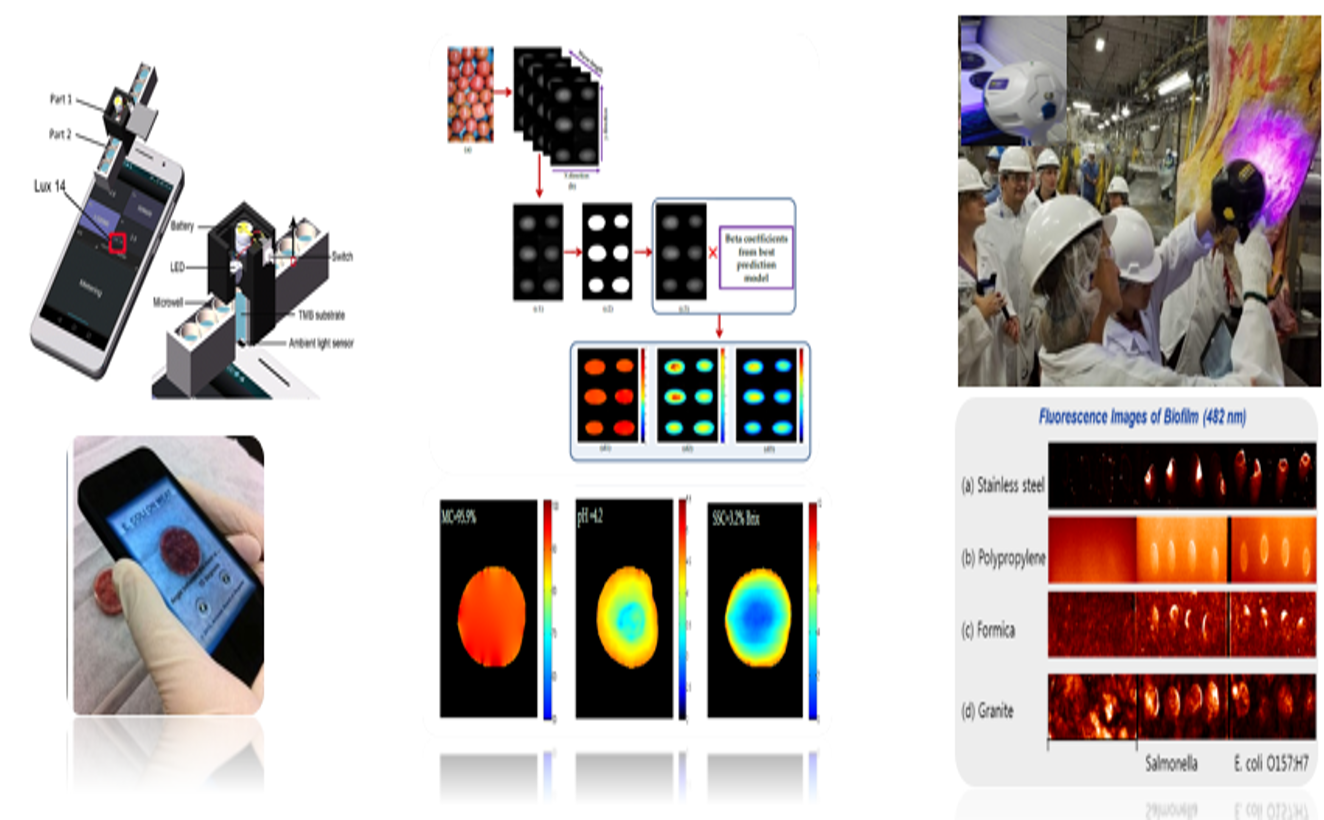 현장 적용 가능한 휴대용 센싱 기술