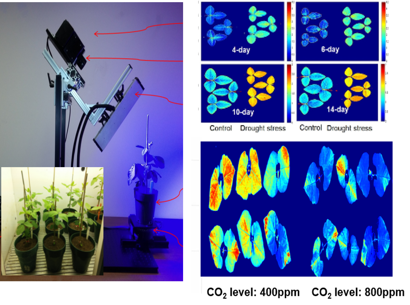 종자 품질 머신비전 판정