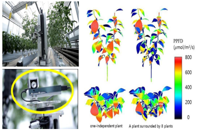 초분광 영상기술을 활용한 식물 생육 분석